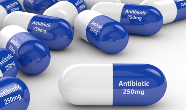 Antybiotyk – przyjaciel czy wróg?