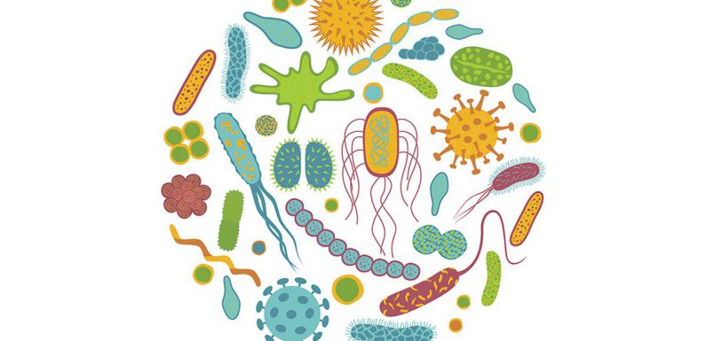 Probiotyki – naturalna odporność