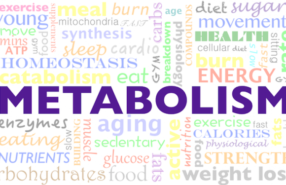 Jak przyspieszyć metabolizm?