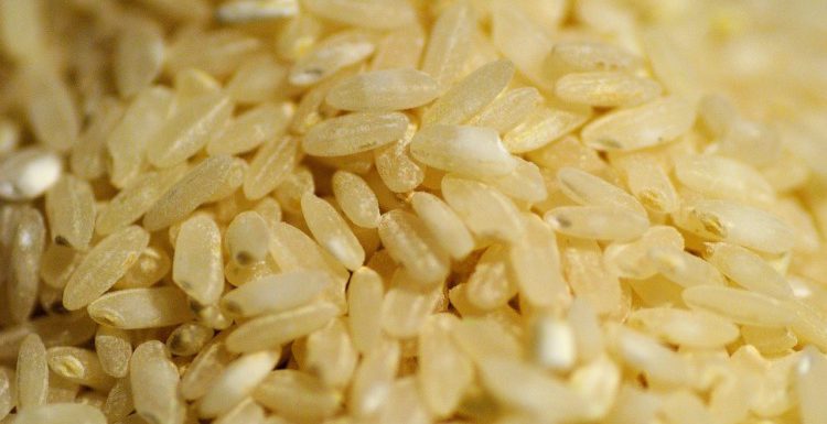 Skuteczna dieta – Węglowodany