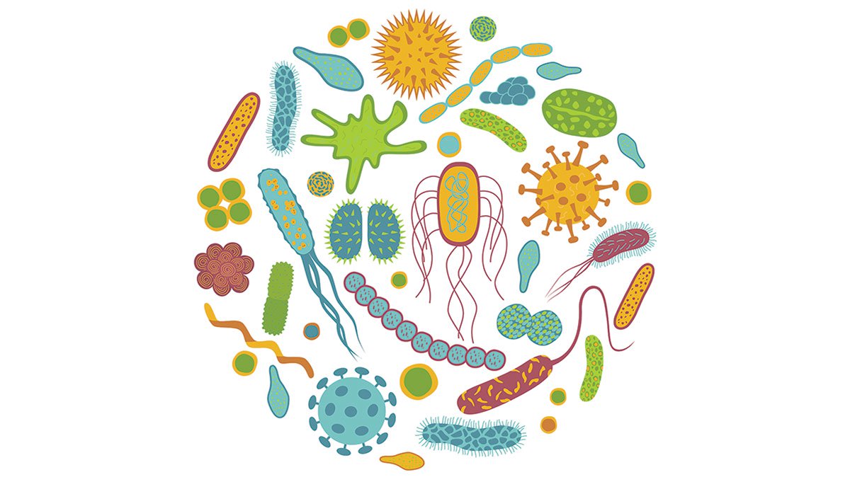 Probiotyki – naturalna odporność probotyki