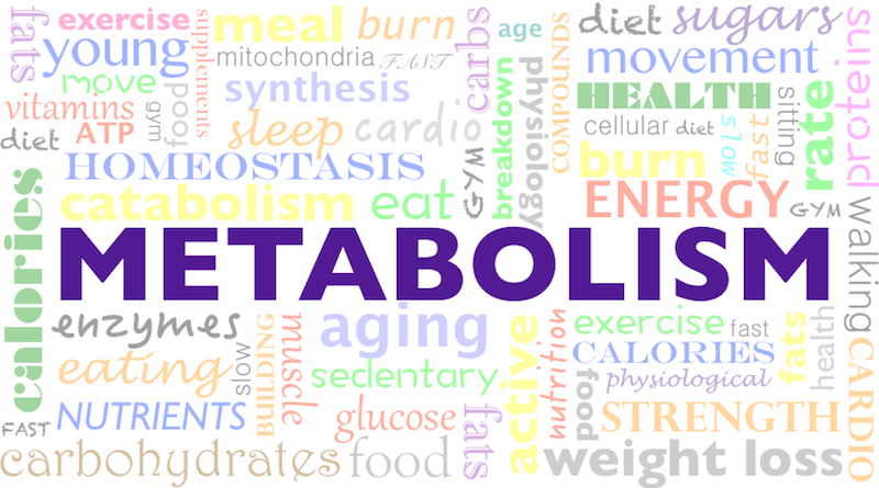 Jak przyspieszyć metabolizm? metabolizm