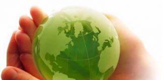 Zalety żywności ekologicznej – czy warto ją kupować?