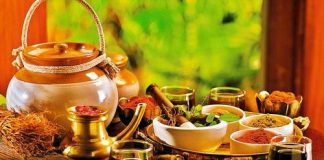 Leczenie Ajuwerdą i pijawkami u doktor Dąbrowskiej doktor dabrowska pijawki i ajuwerda