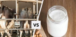 Chude mleko czy tłuste mleko? jakie mleko wybrać do picia