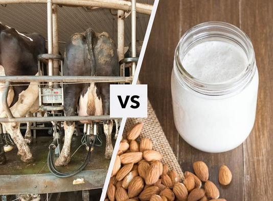 Chude mleko czy tłuste mleko? jakie mleko wybrać do picia