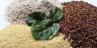 Ziarnko do ziarnka – rodzaje kasz kasze rodzaje jedzenie typy