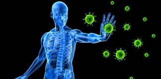 Wspieranie układu odpornościowego odpornosciowy układ wzmacnianie