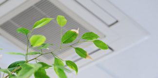 Smog w Twoim domu. Czy wiesz czym oddychasz? jakość powietrza w domu