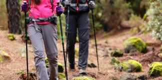 Na czym polega fenomen kijków trekkingowych? kijki trekking cfds