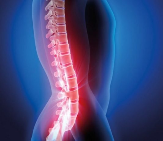 Zdrowy kręgosłup – Twoja życiowa podpora zdrowy kręgosłup prosty zdjęcia sklep zdrowie