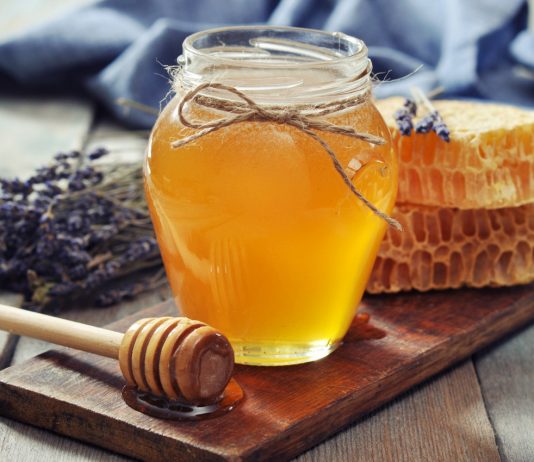 Apiterapia i apitoksynoterapia. Leczenie jadem pszczelim, miodem i pierzgą miod leczenie apiterapia