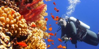 Nurkowanie – czy to bezpieczny sport? nurkowanie jak zacząć czy zdrowe