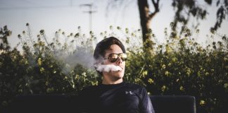 Susz CBD – czy posiada właściwości prozdrowotne? susz konopny a zdrowie