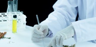 Jak rozpoznać dobry olej CBD? naukowiec cbd