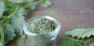 Zapomniane polskie przyprawy – co zamiast soli, pieprzu i gotowych przypraw? polskie stare przyprawy zdrowa pokrzywa