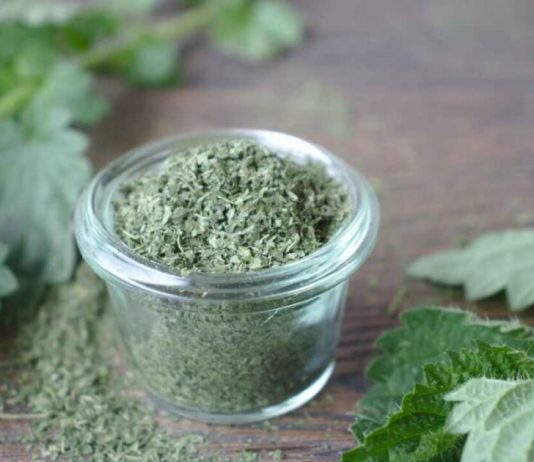 Zapomniane polskie przyprawy – co zamiast soli, pieprzu i gotowych przypraw? polskie stare przyprawy zdrowa pokrzywa