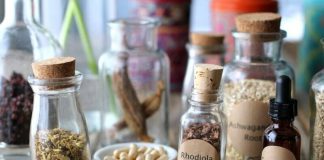 Adaptogeny znane od tysięcy lat – remedium na różne rodzaje stresu adaptogeny preparaty