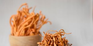 Lecznicze grzyby – naturalny sposób na długowieczność! grzyby lecznicze skuteczność działania