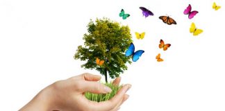 Dobry wybór – życie w EKO rytmie życie eko