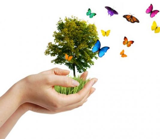 Dobry wybór – życie w EKO rytmie życie eko