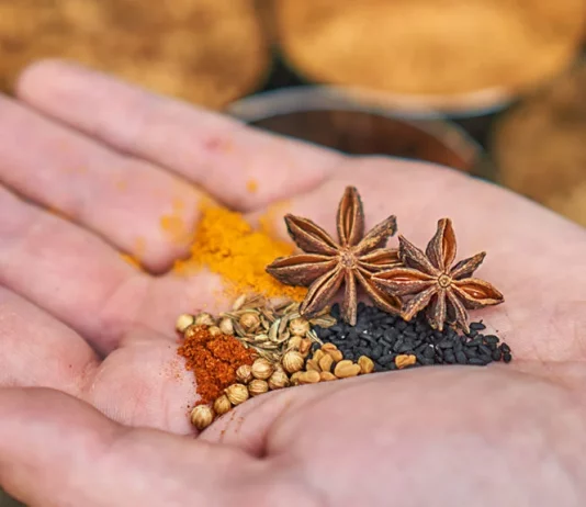 5 ajurwedyjskich sposobów na poprawę odporności organizmu leczenie ajurwedyjskie