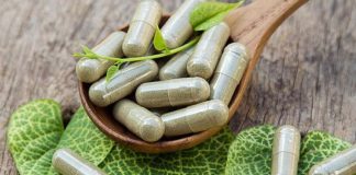 Odgrzybianie organizmu – jak usunąć nadmiar toksyn? odgrzybianie organizmu