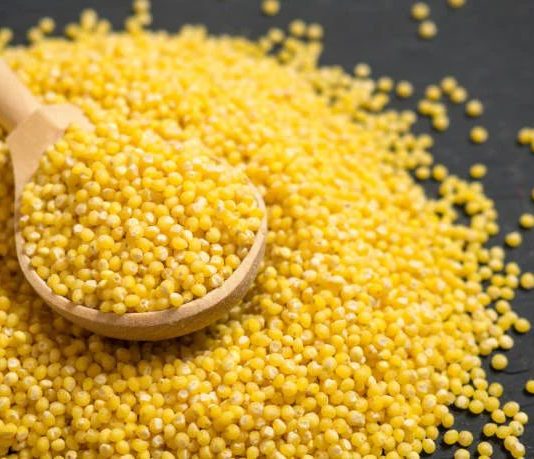 Polskie superfood – kasza jaglana kasza jaglana