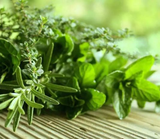 Jak wybrać i jak korzystać z waporyzatora? Waporyzacja ziół ziola wapo