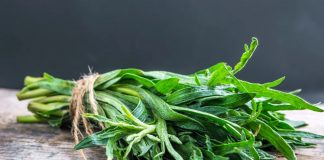 Jak kompleksowo dbać o układ moczowy?