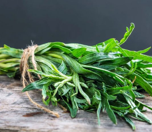 Jak kompleksowo dbać o układ moczowy?