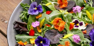 Jakie kwiaty można jeść? Kwiaty jadalne, ich smak i wykorzystanie w kuchni kwiaty jadalne do jedzenia