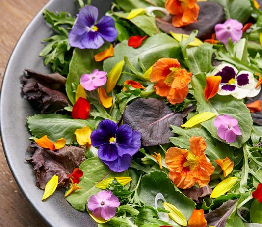 Jakie kwiaty można jeść? Kwiaty jadalne, ich smak i wykorzystanie w kuchni kwiaty jadalne do jedzenia