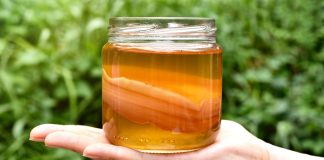 Czy napój Kombucha może pomóc podczas stosowania diety? zdrowa kombucha