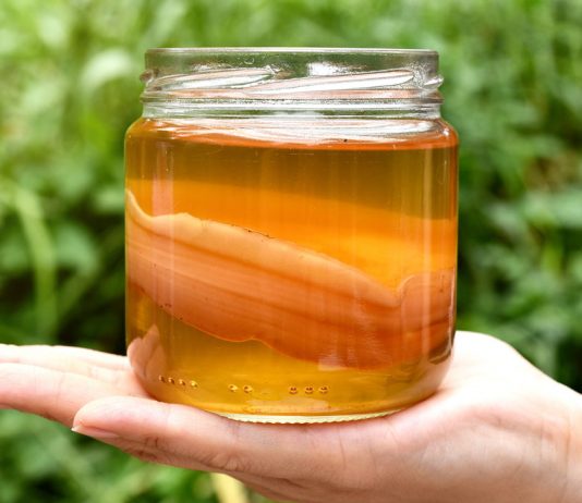 Czy napój Kombucha może pomóc podczas stosowania diety? zdrowa kombucha
