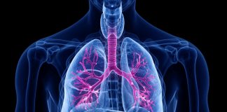 Najczęstsze choroby płuc. Przegląd i objawy charakterystyczne zdrowe płuca 3d przekrój - animacja