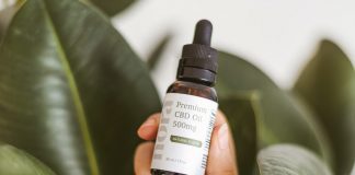 Korzyści i zastosowania oleju konopnego CBD w codziennym życiu olejek cbd