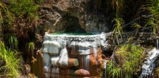 Jakie są najlepsze źródła wapnia w jedzeniu? zdrowy wapń