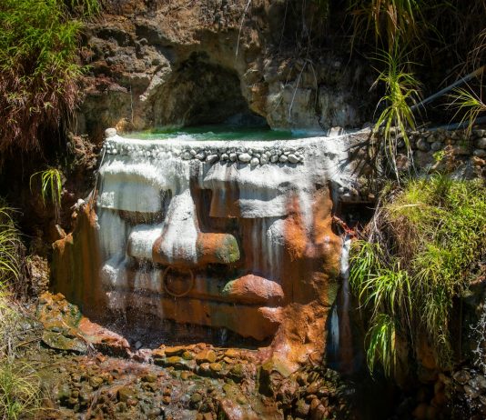 Jakie są najlepsze źródła wapnia w jedzeniu? zdrowy wapń