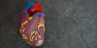 Zdrowe serce na każdym etapie życia – jak połączyć zmiany w stylu życia z terapią lekami? zdrowe serce