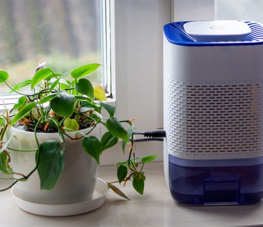 Oczyszczacze powietrza z funkcją osuszania: Czyste powietrze w domu o każdej porze osuszacz domu