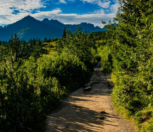 Niezbędne wyposażenie na górską eskapadę: co spakować do plecaka? wycieczka w góry