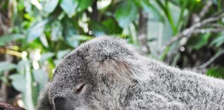 Metabolizm podczas snu – jak organizm spala kalorie w nocy? ZDROWE SPANIE