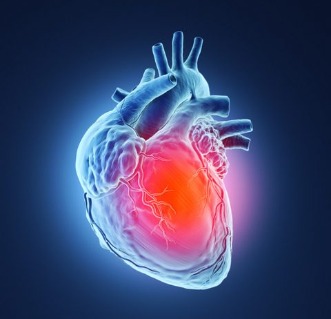 Ciśnienie osmotyczne krwi – normy, wzór oraz skutki niskiego poziomu serce