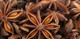 Zobacz sekretną moc anyżu w proszku – aromatycznego sprzymierzeńca zdrowia anyż