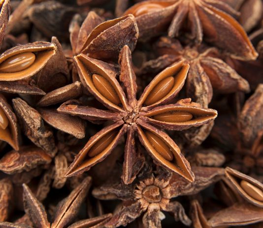Zobacz sekretną moc anyżu w proszku – aromatycznego sprzymierzeńca zdrowia anyż