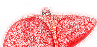 Wątroba – cichy kontroler metabolizmu: poznaj jej podstawowe zadania w organizmie liver, hepatic, organ