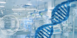 Synteza białek: od DNA do budulca życia białka dna