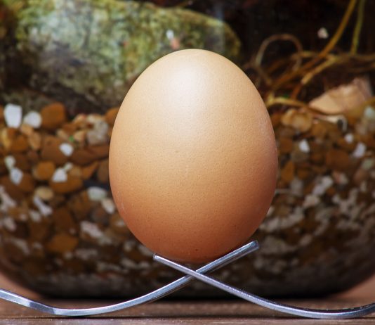 Sprawdzone nawyki żywieniowe i organizacja posiłków – podstawa zdrowszego szyku życia Regularne ćwiczenia i zbilansowana dieta to podstawa dobrego samopoczucia każdego dnia