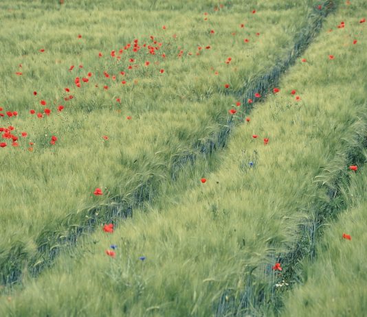 7 skutecznych ćwiczeń kształtujących pozytywne myślenie – praktyczny przewodnik rozwoju osobistego Codzienne zapisywanie pozytywnych myśli i sukcesów pomaga trenować optymistyczne nastawienie do życia